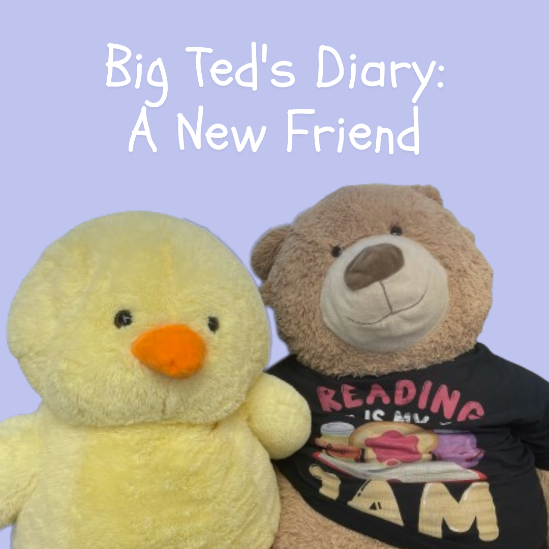 Big Ted's Diary A New Friend