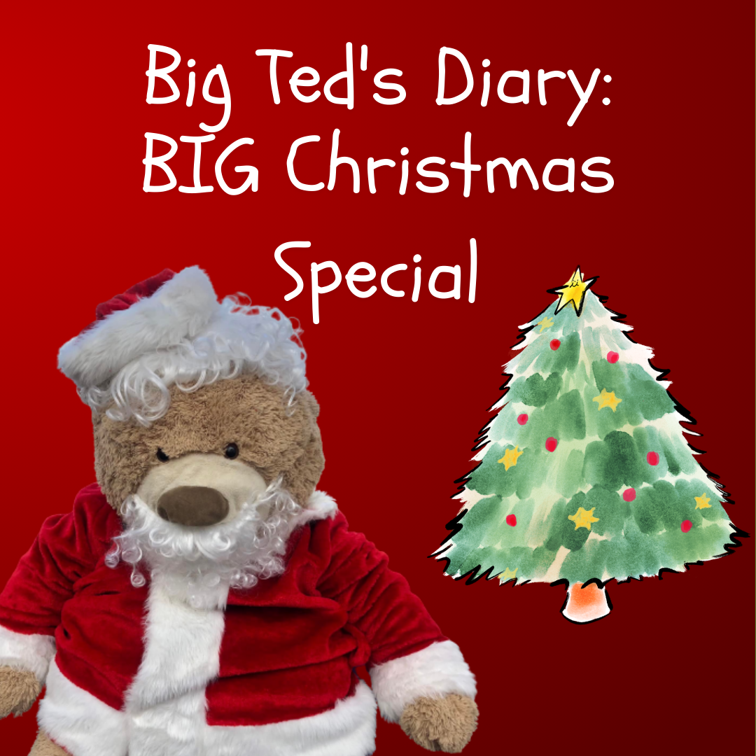 Big Ted's Diary Christmas