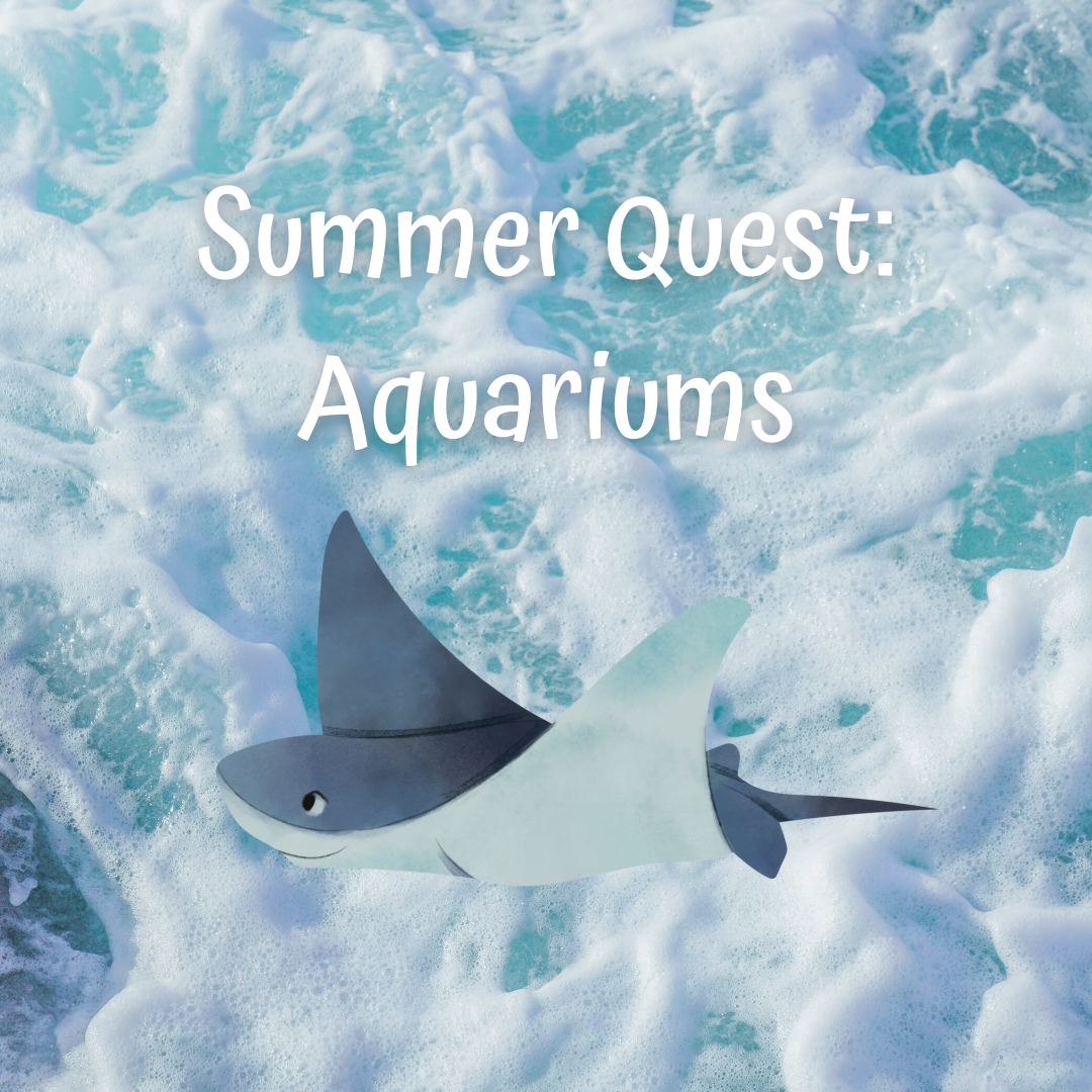 SQ Aquariums