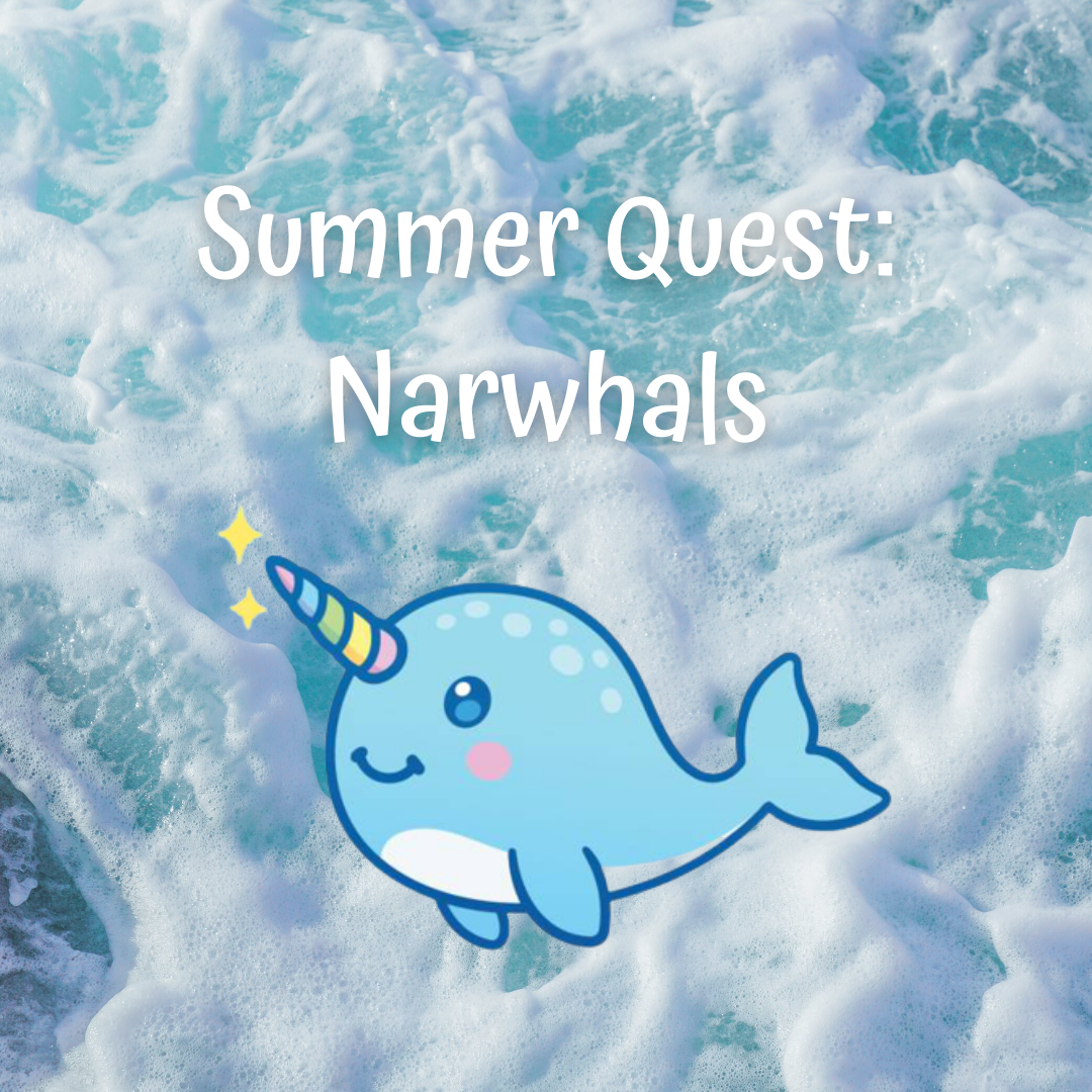 SQ Narwhals
