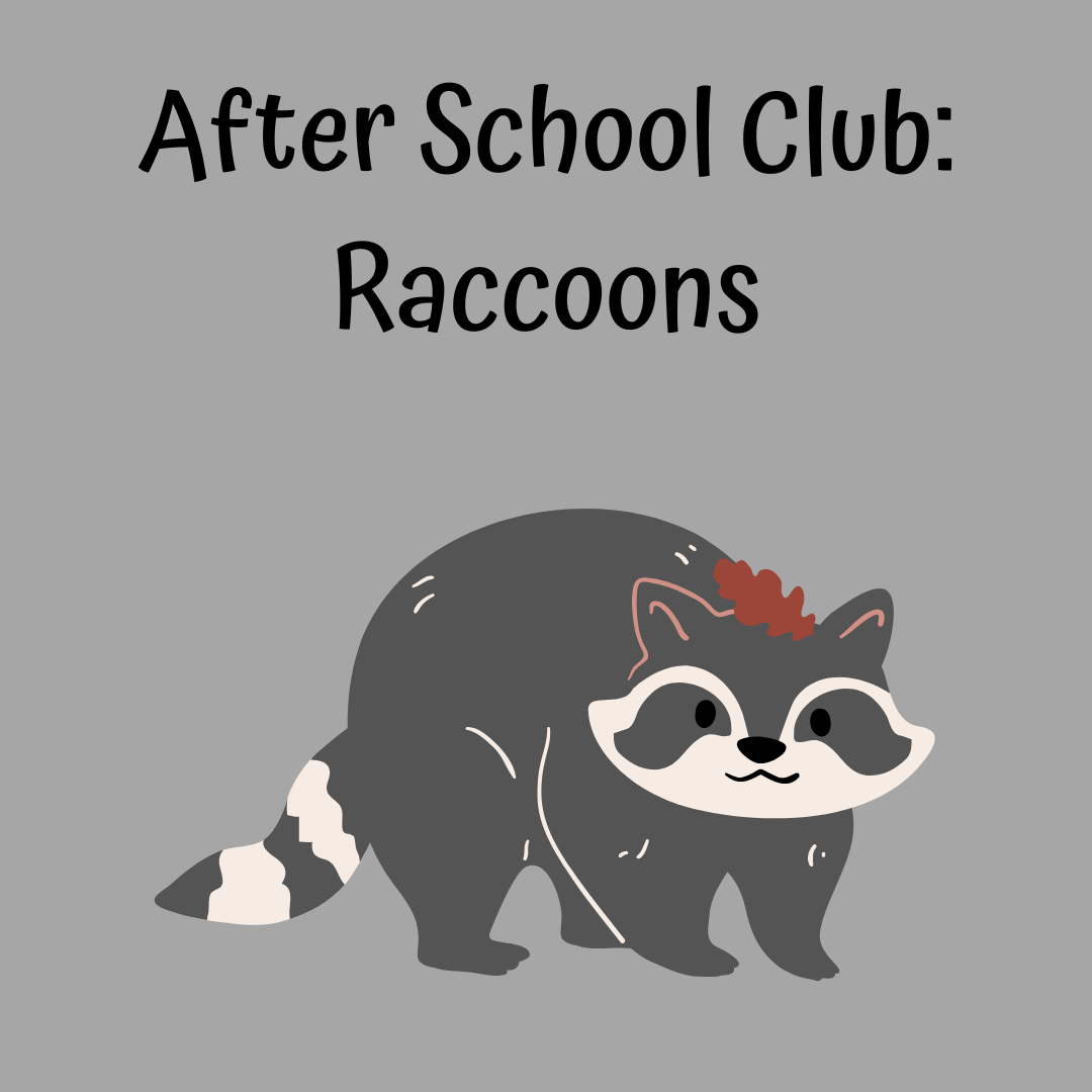asfc raccoons