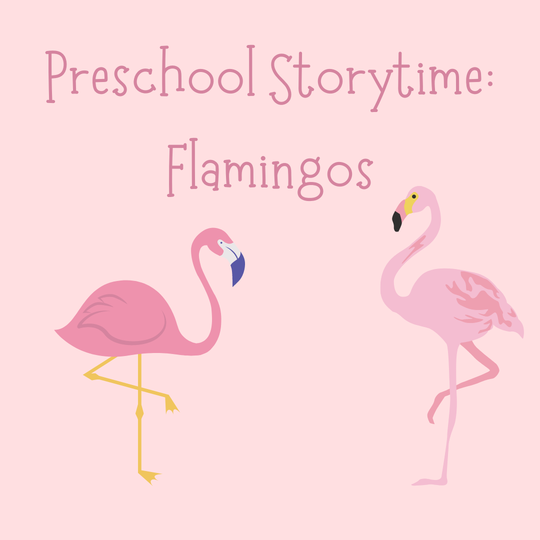 ps flamingos