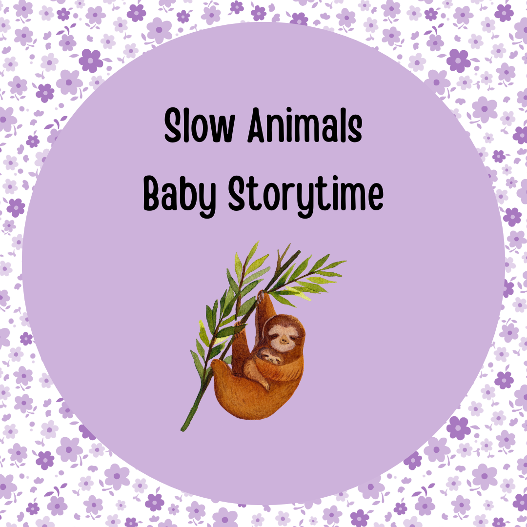 slow animals baby st