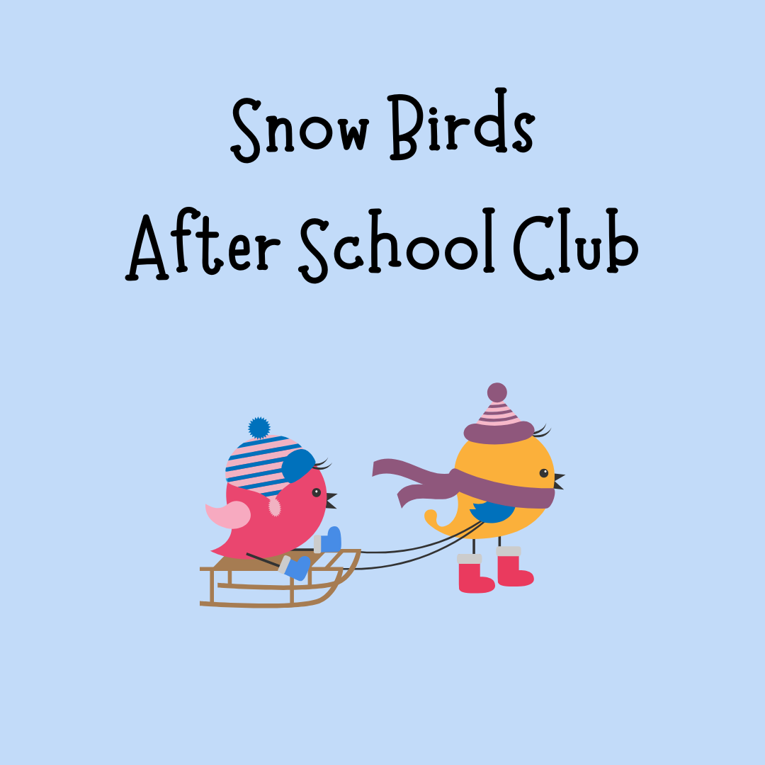 snow birds asfc