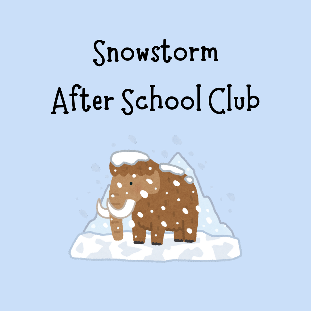 snowstorm asfc